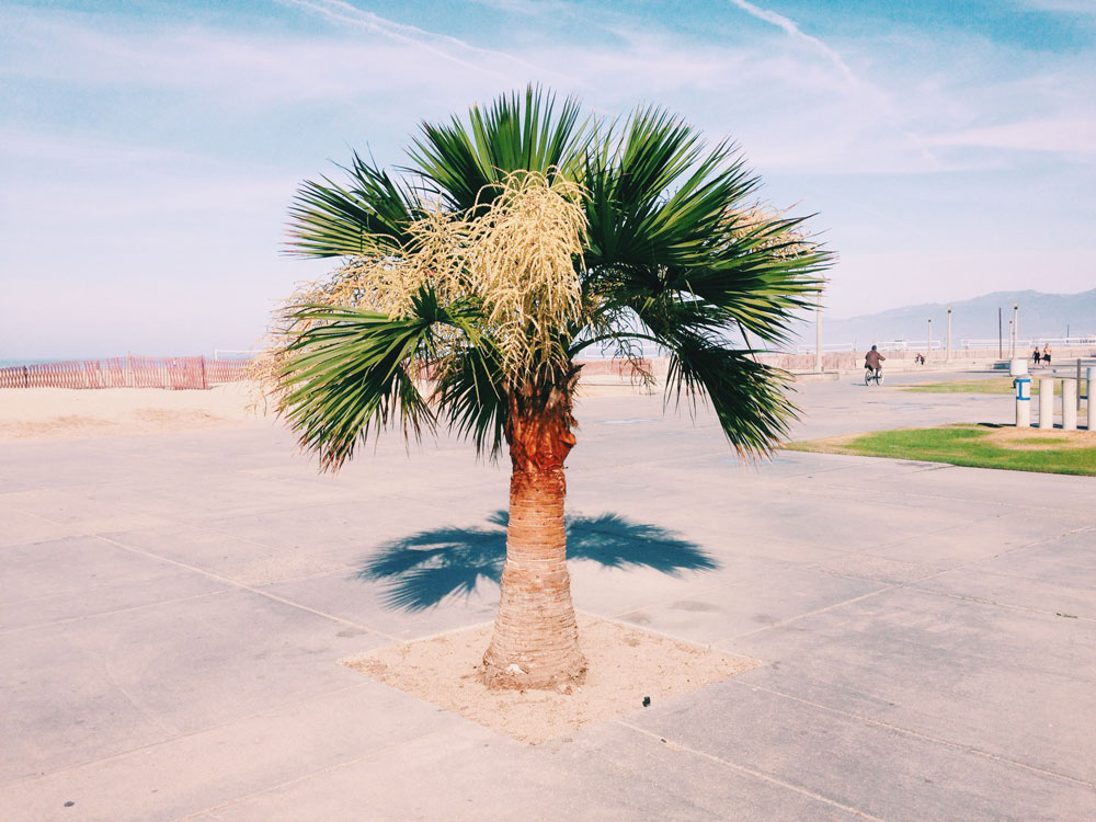 Natural landscaping.