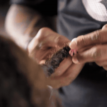 pantene daddo screen record_2.gif