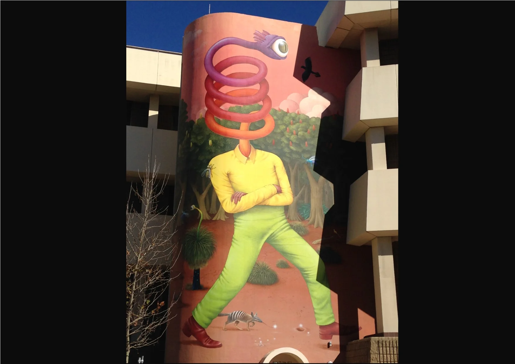 Numbat Street Art at TAFE in Northbridge