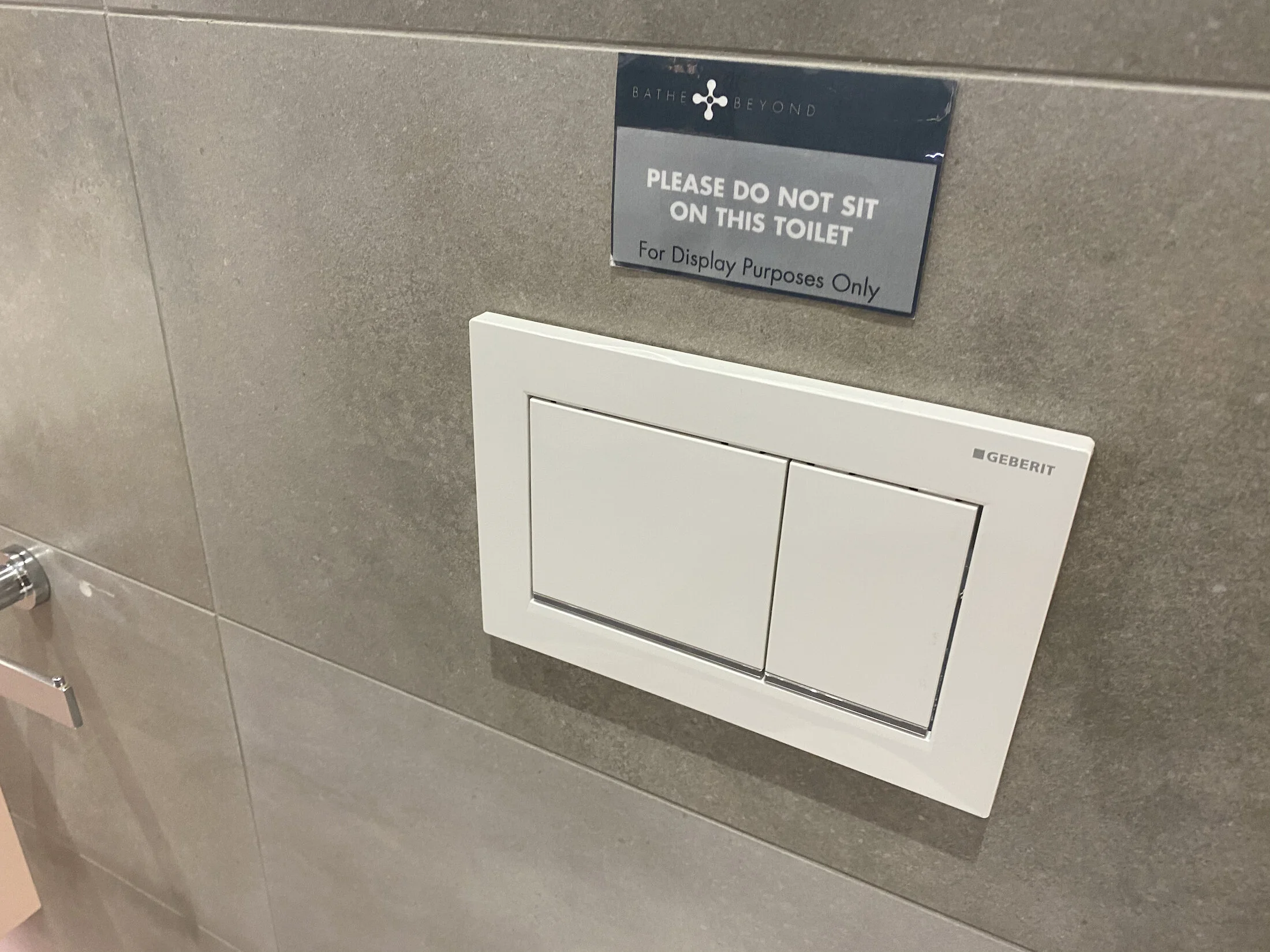 WC flush plate on Display - 1.jpeg
