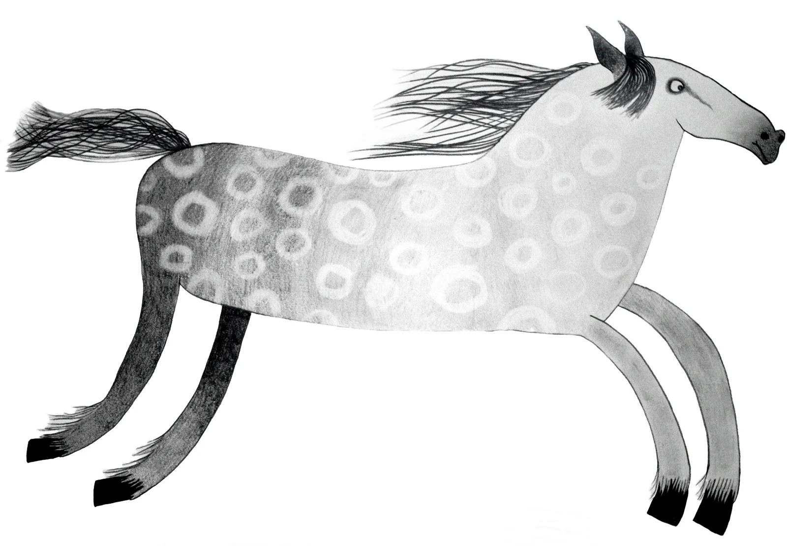 horse.jpg