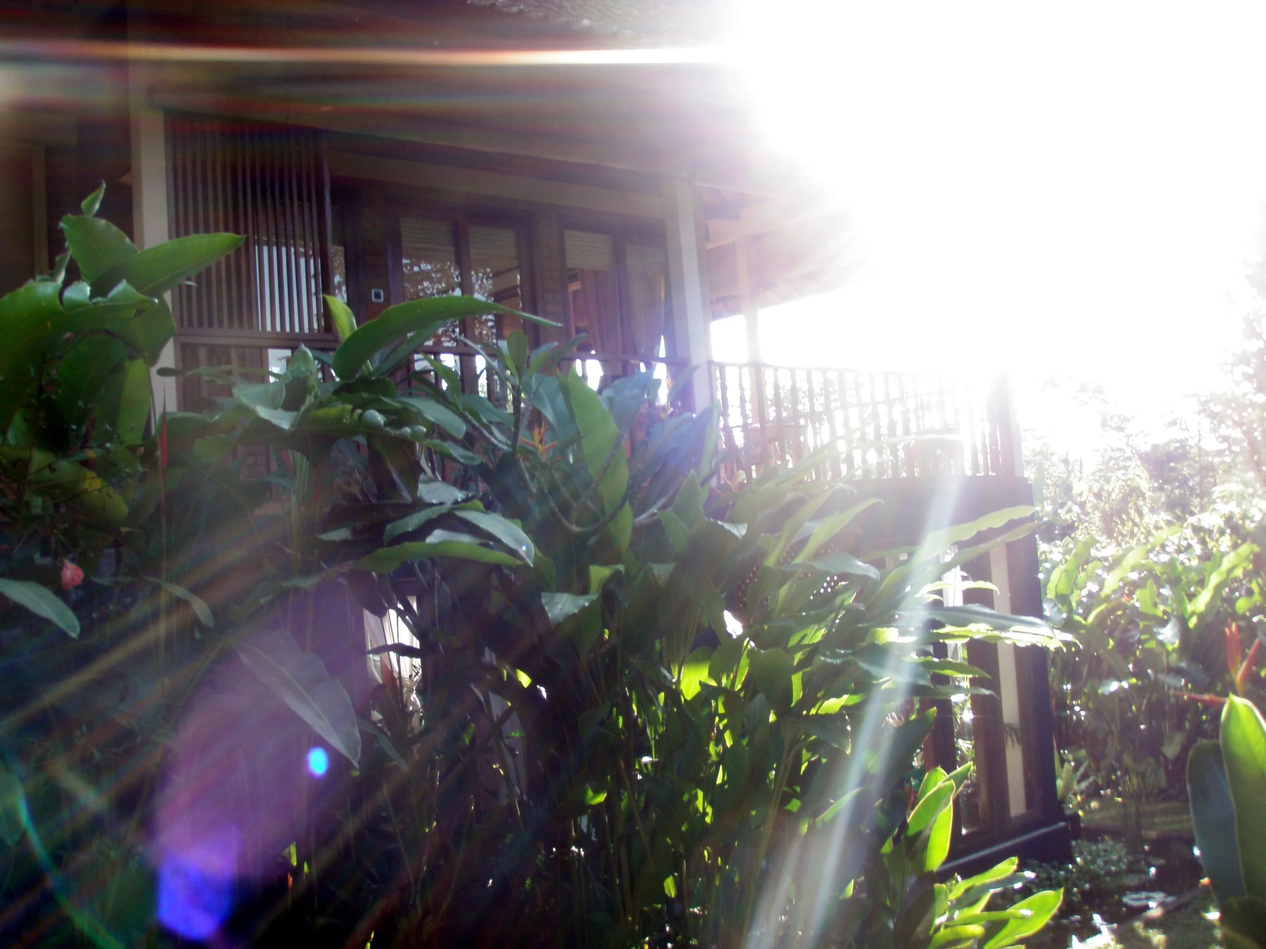 03 Rumah Coklat Outside (16).jpg