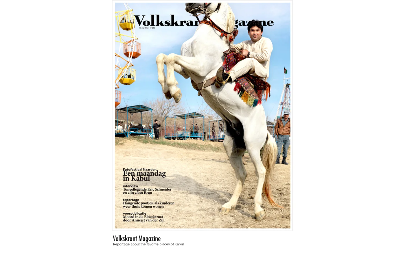 COVER VOLKSKRANTGOED.jpg