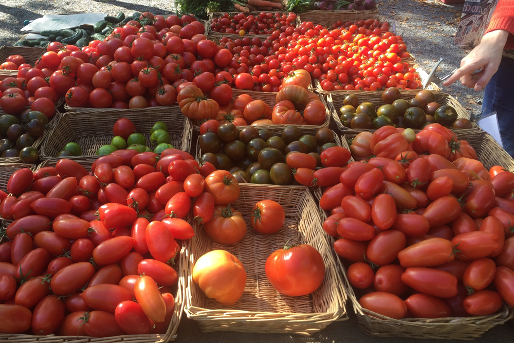 September, London: All the tomatoes at my local market, Brockley Market. 