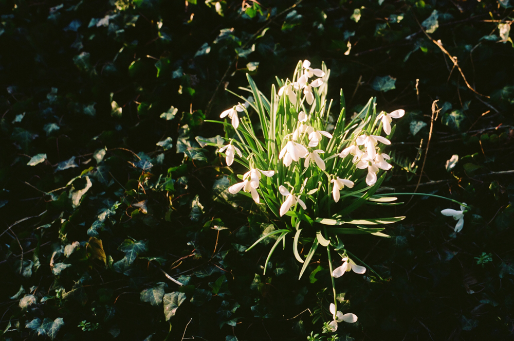 March, Tuscany: We stayed at a beautiful villa called La Selva, where spring had already arrived. 