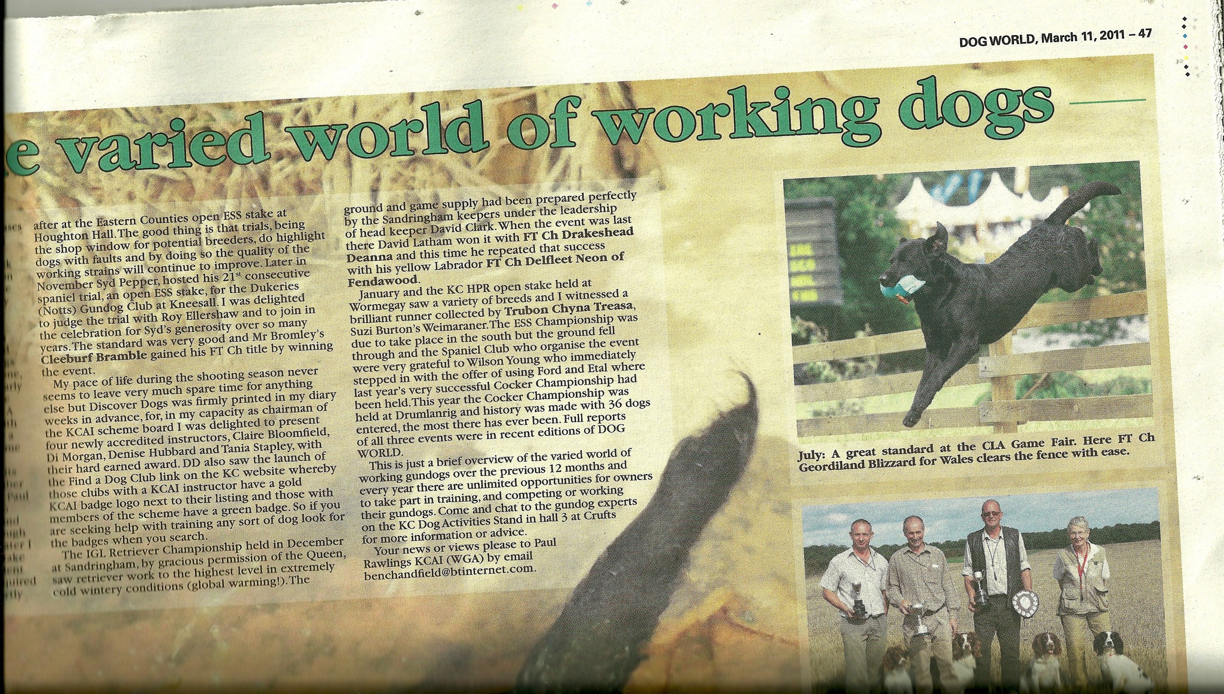 Chyna Paul Rawlinson Roundup Dog World March 2011.jpg