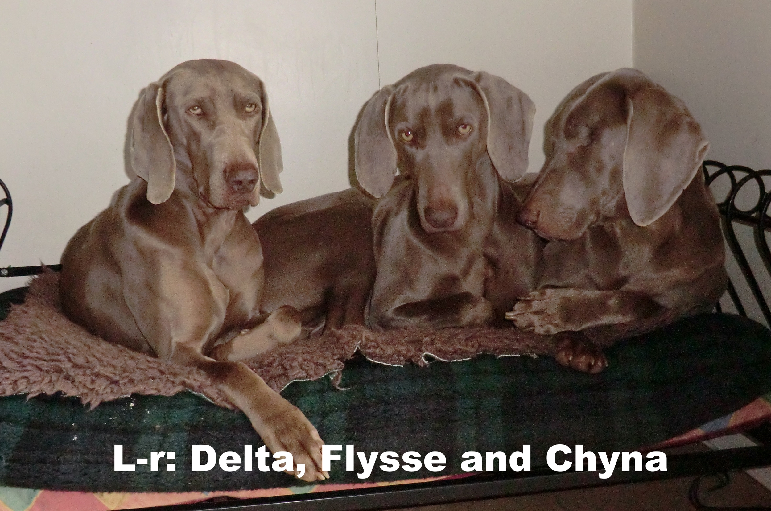 L-r: Delta, Flysse and Chyna