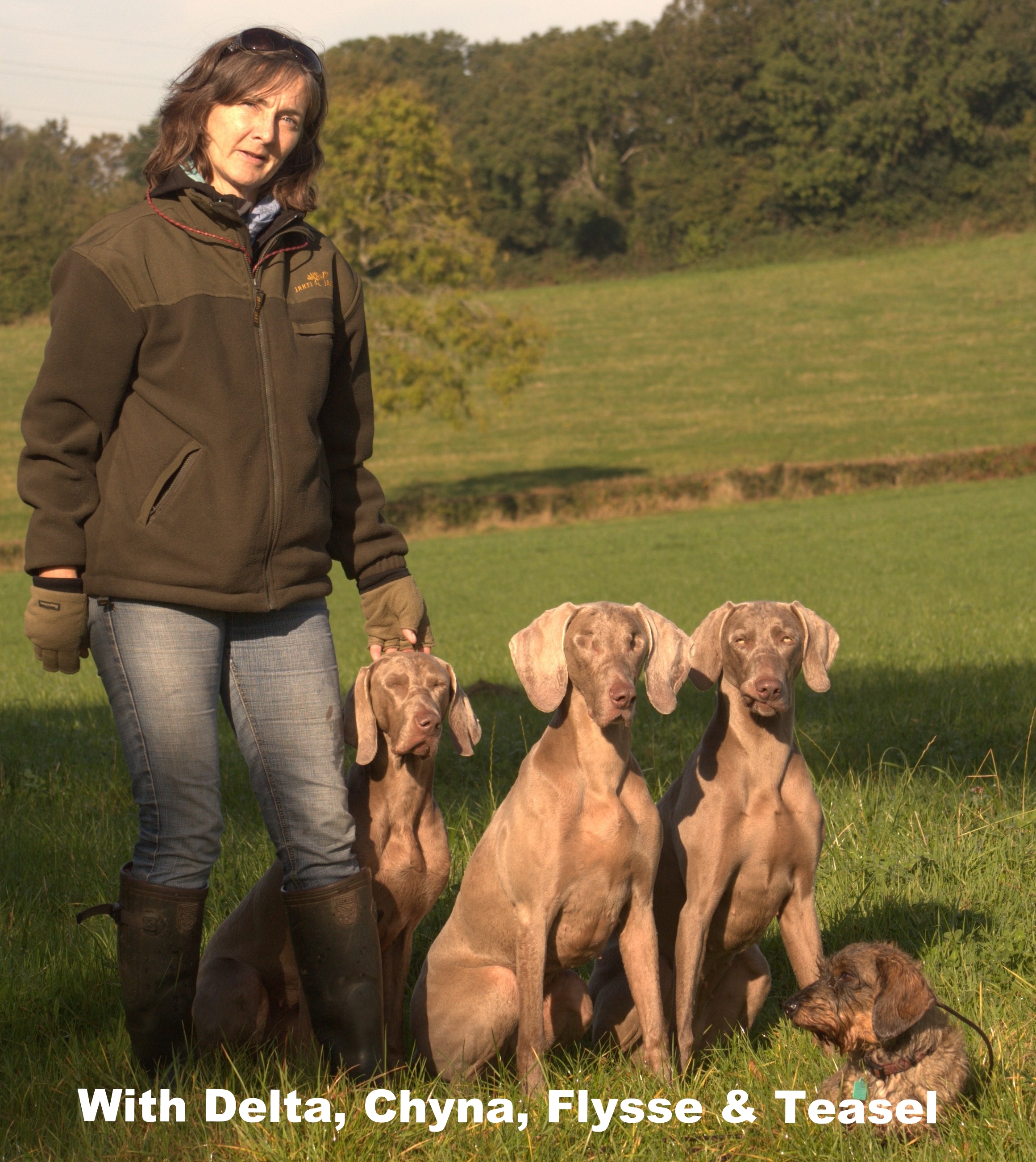 Suzi, Chyna Delta Flysse & Teasel October 2012.jpg