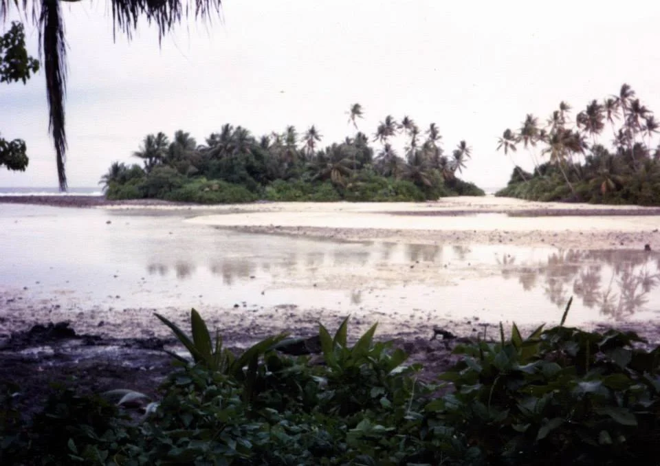 Photo Credit: Iakopa Puapua