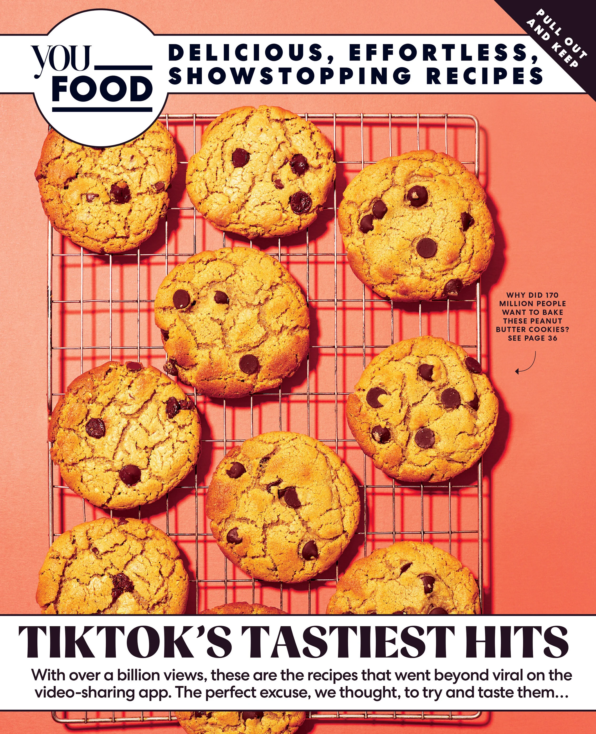 TikTok recipes - photography Ellis Parrinder