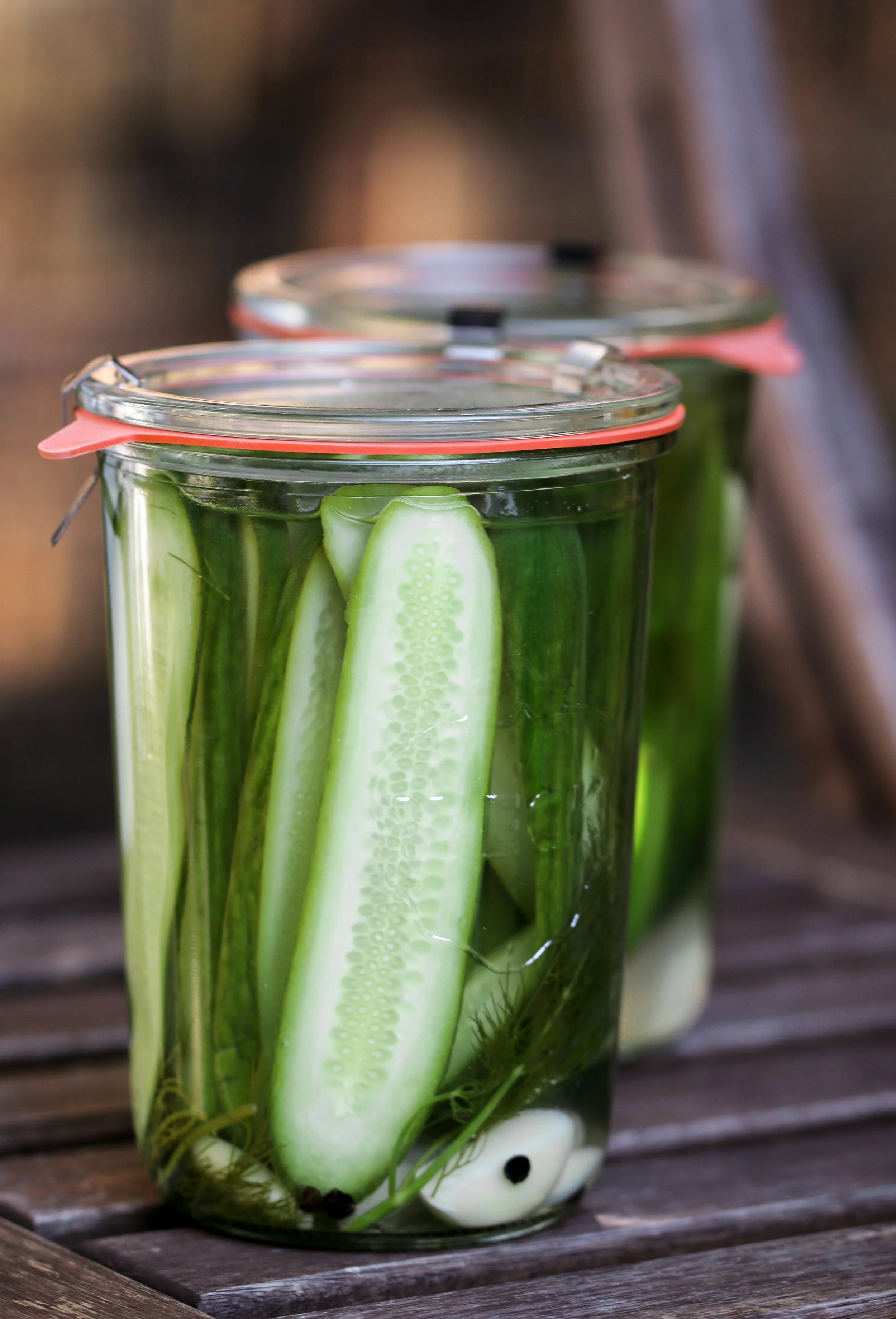 The Hungry Hounds— Garlic Dill Pickles