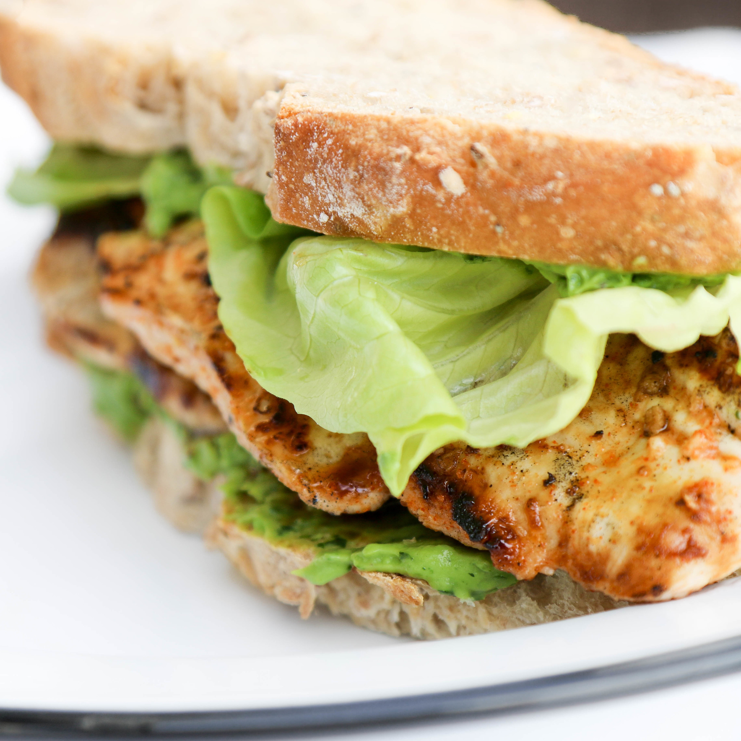 The Hungry Hounds Grilled Chicken Sandwich With Avocado Herb Spread