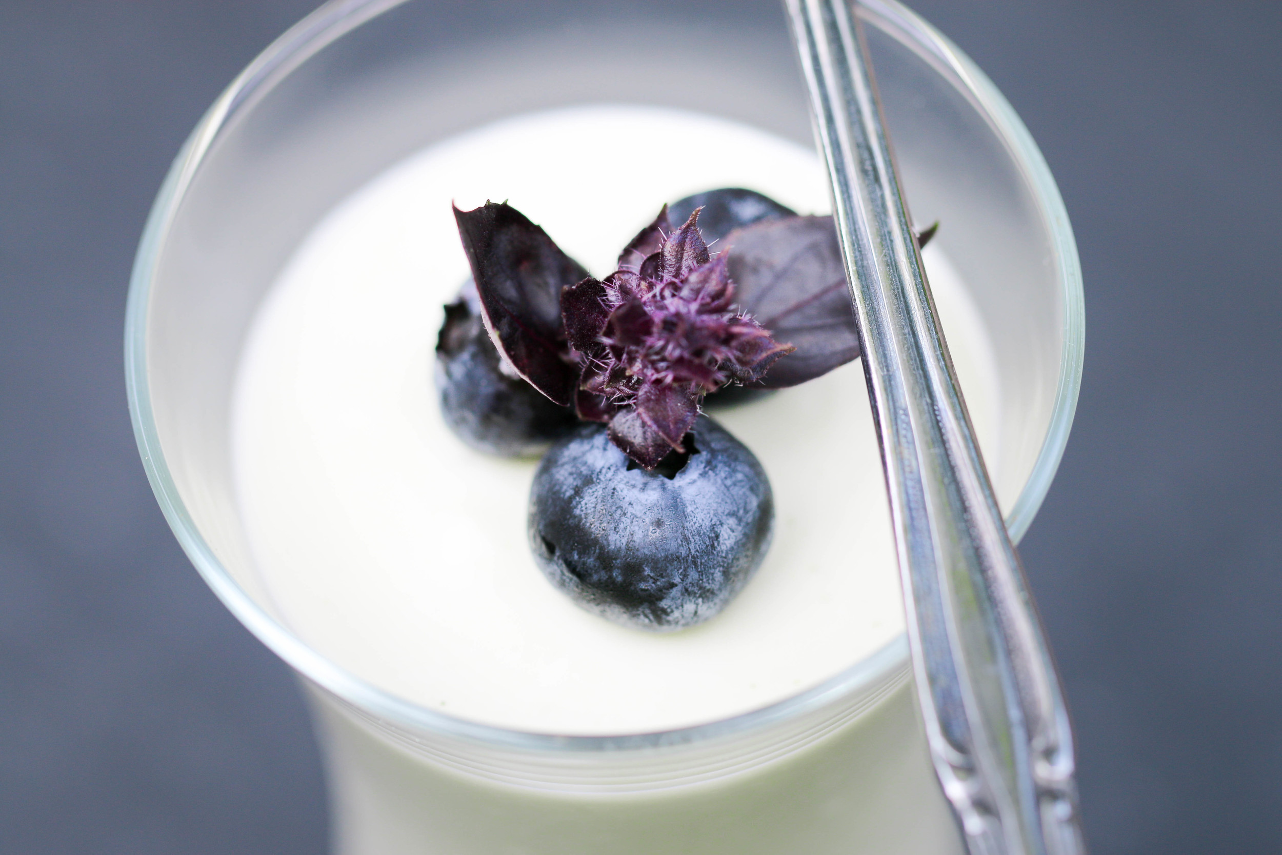 basil yogurt panna cotta.jpg