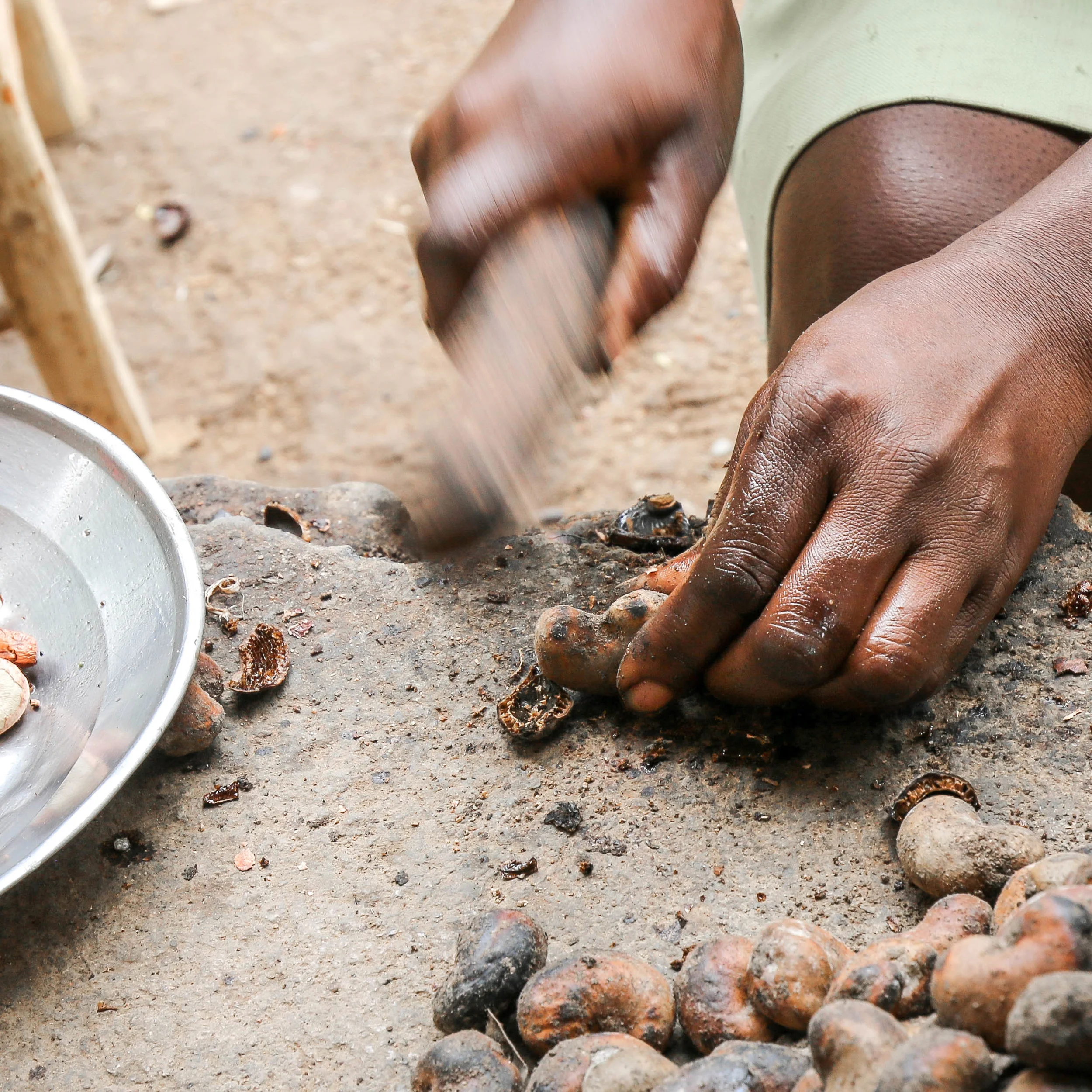 The roasted nuts are then hand-shelled and cleaned once again -- Mombin Crochu, Haiti