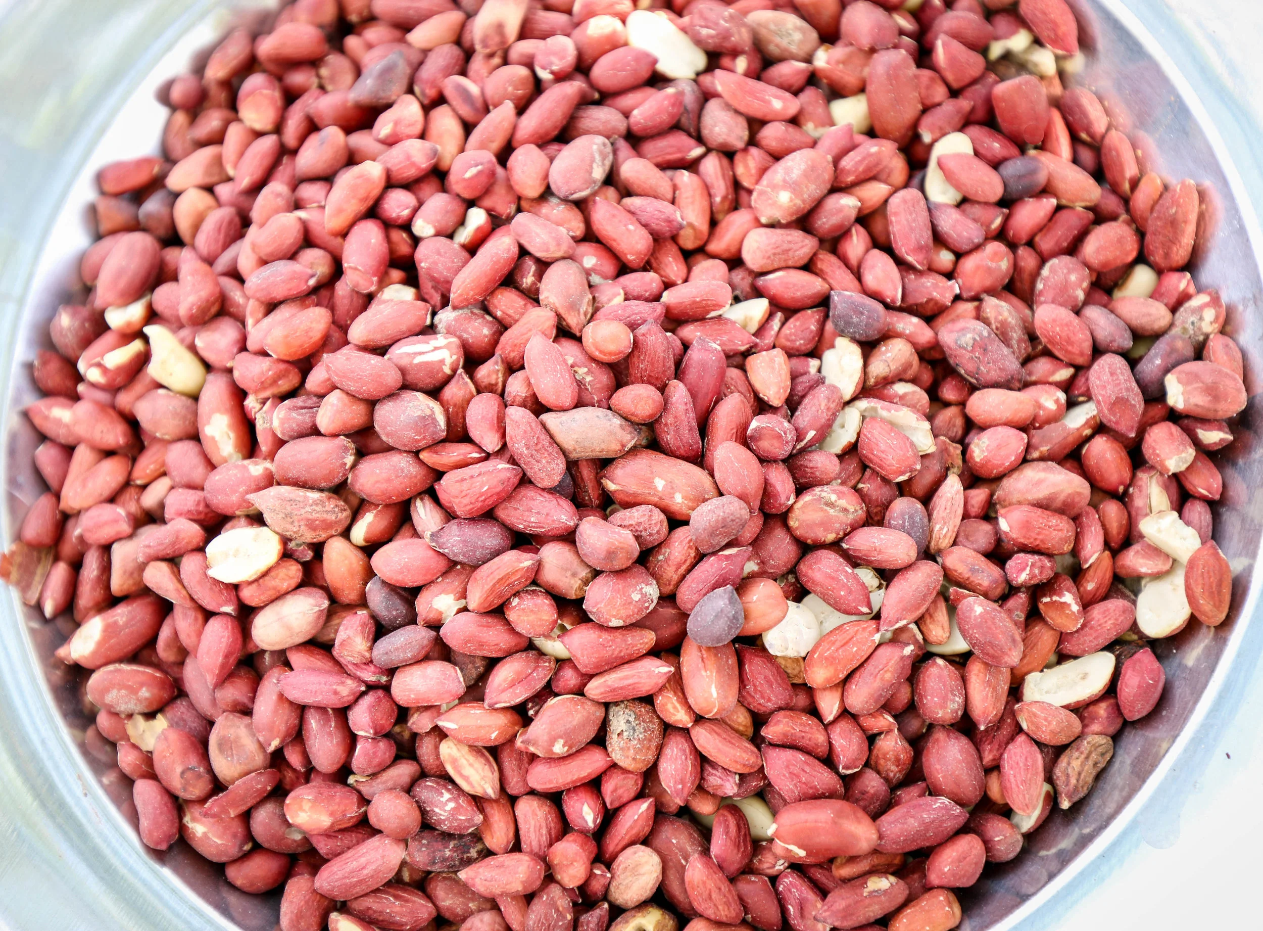 Harvested peanuts ready for processing into Haitian peanut butter in Boyaha, Haiti.