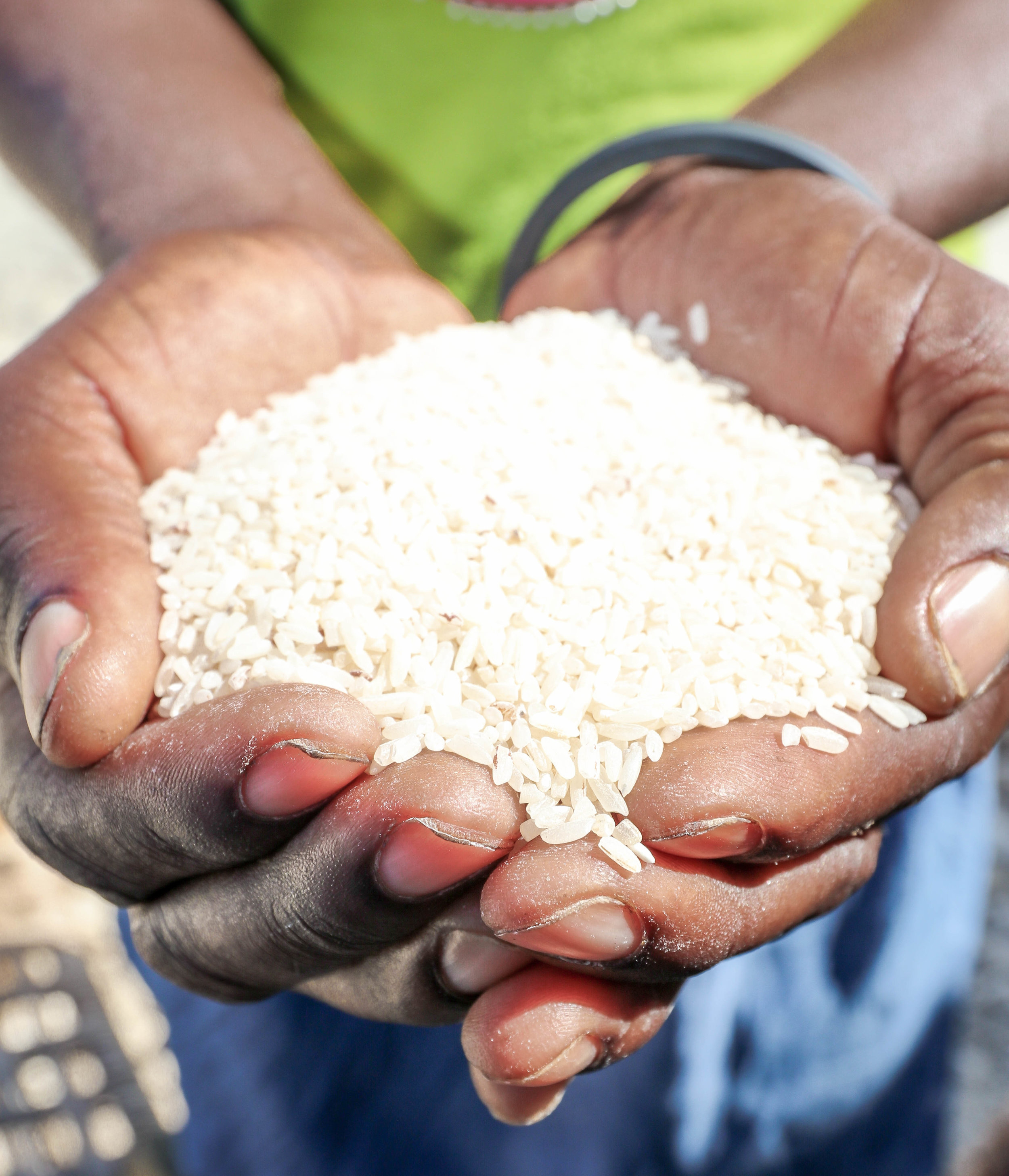 PDL cooperative rice in Sanyago, Haiti.
