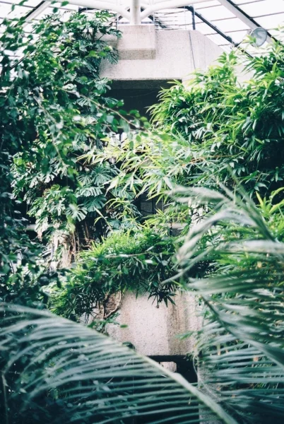 Barbican Conservatory