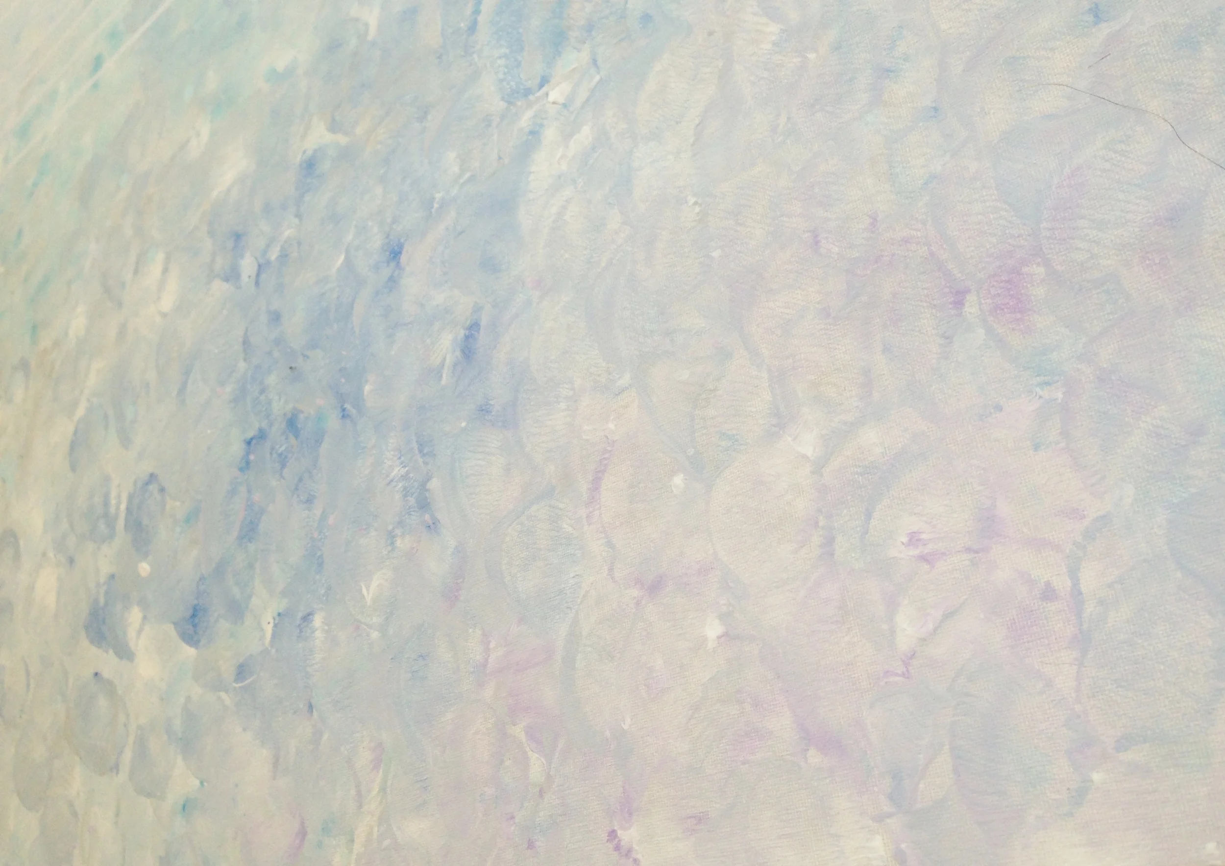blue closeup 01.JPG