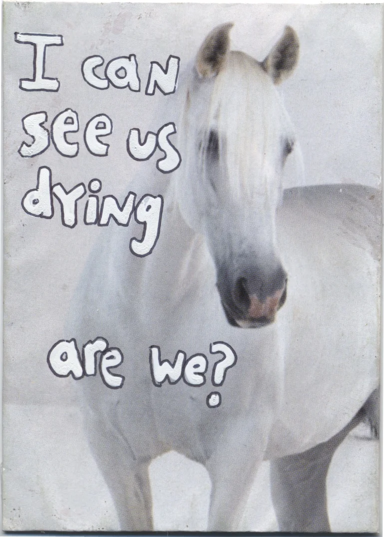 Scan 244.jpeg
