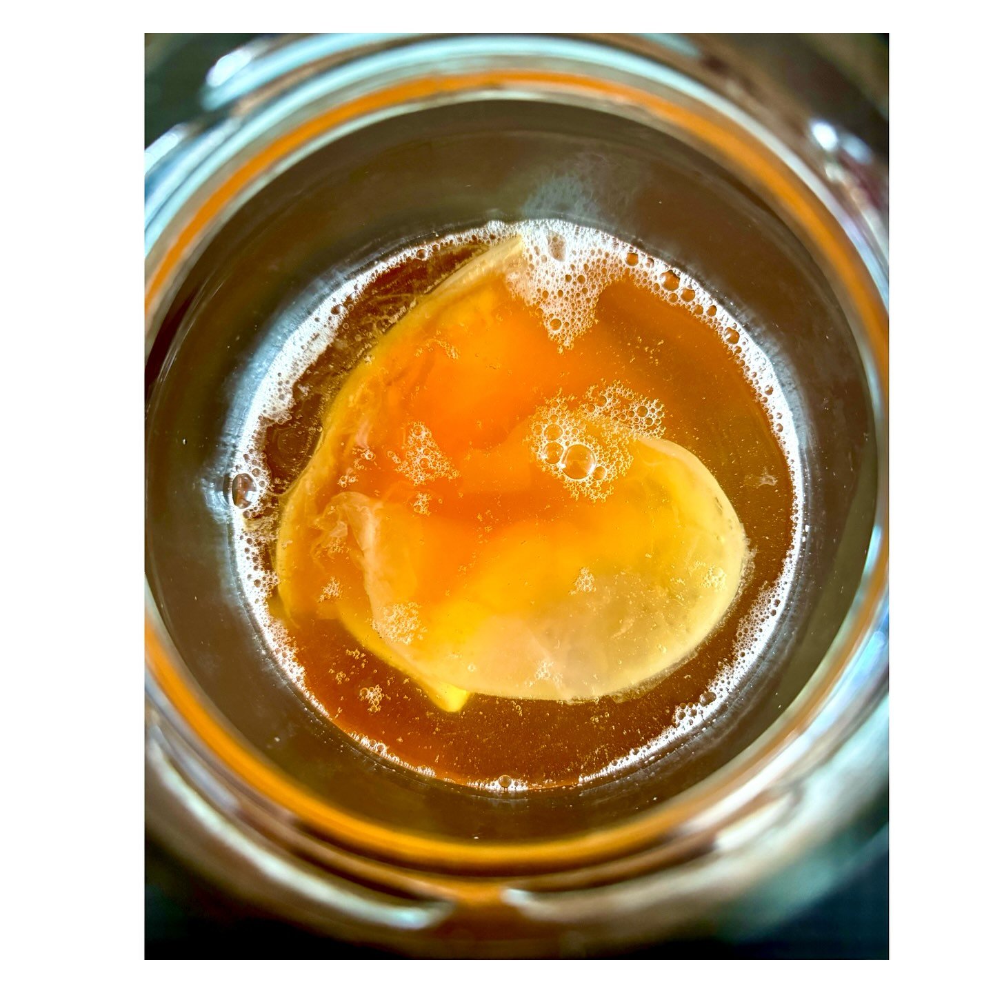 🍯🧫🫧A lesson in patience and collaboration Part 2/4

Fermentation is like nature&rsquo;s alchemy, and making Jun was my first dive into this world. I started with honey, green tea, and a SCOBY&mdash;a jelly-like culture of bacteria and yeast&mdash;
