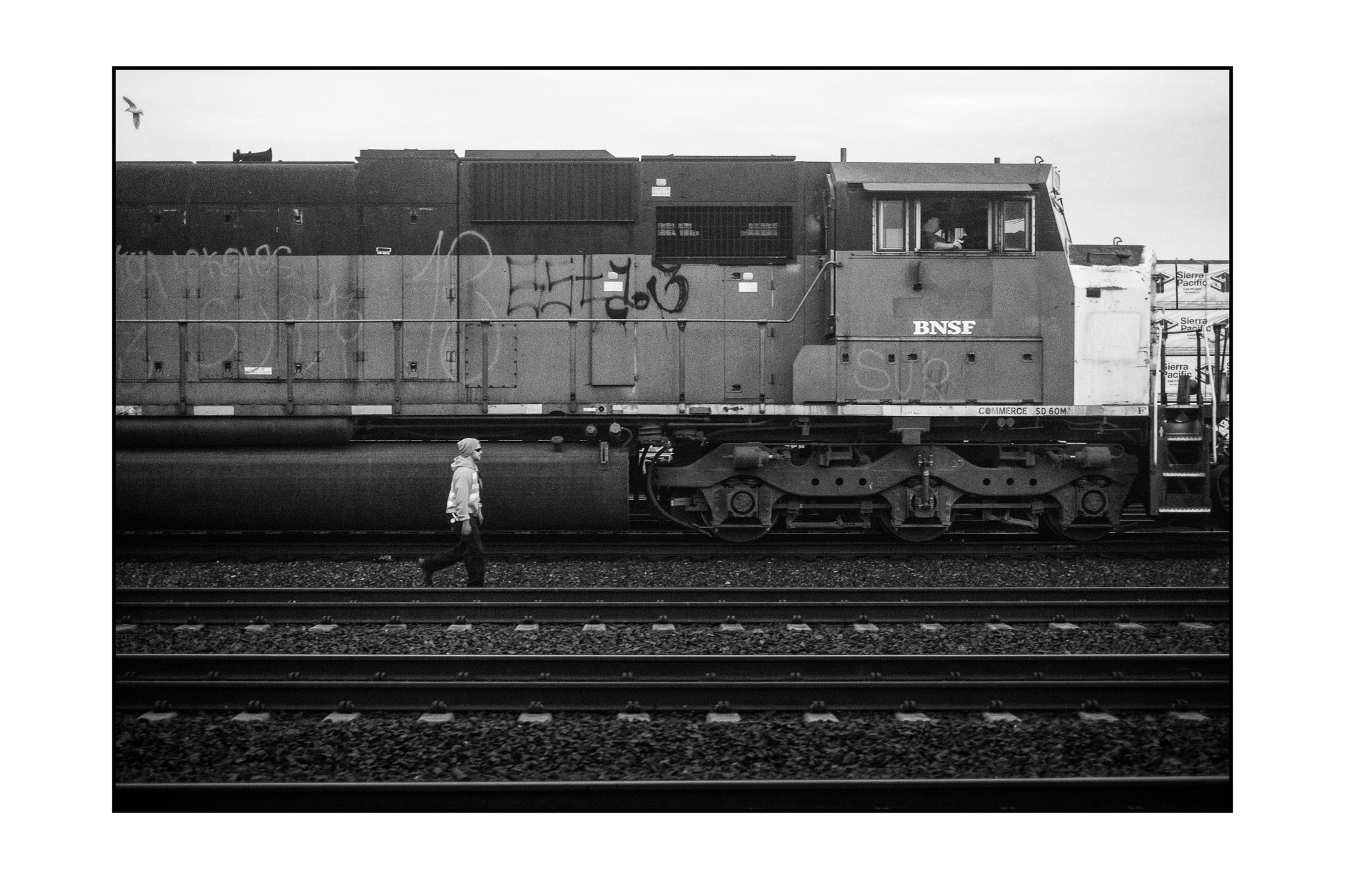 Olympia, Washington, USA (2013)