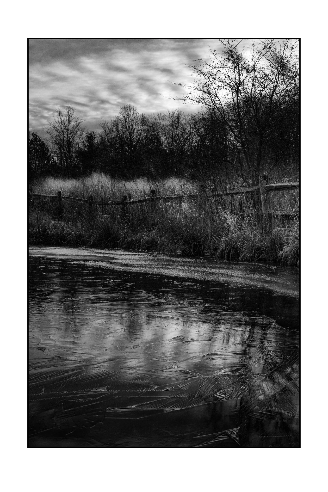 Chestnut Ridge Metropark, Ohio, USA (2014)