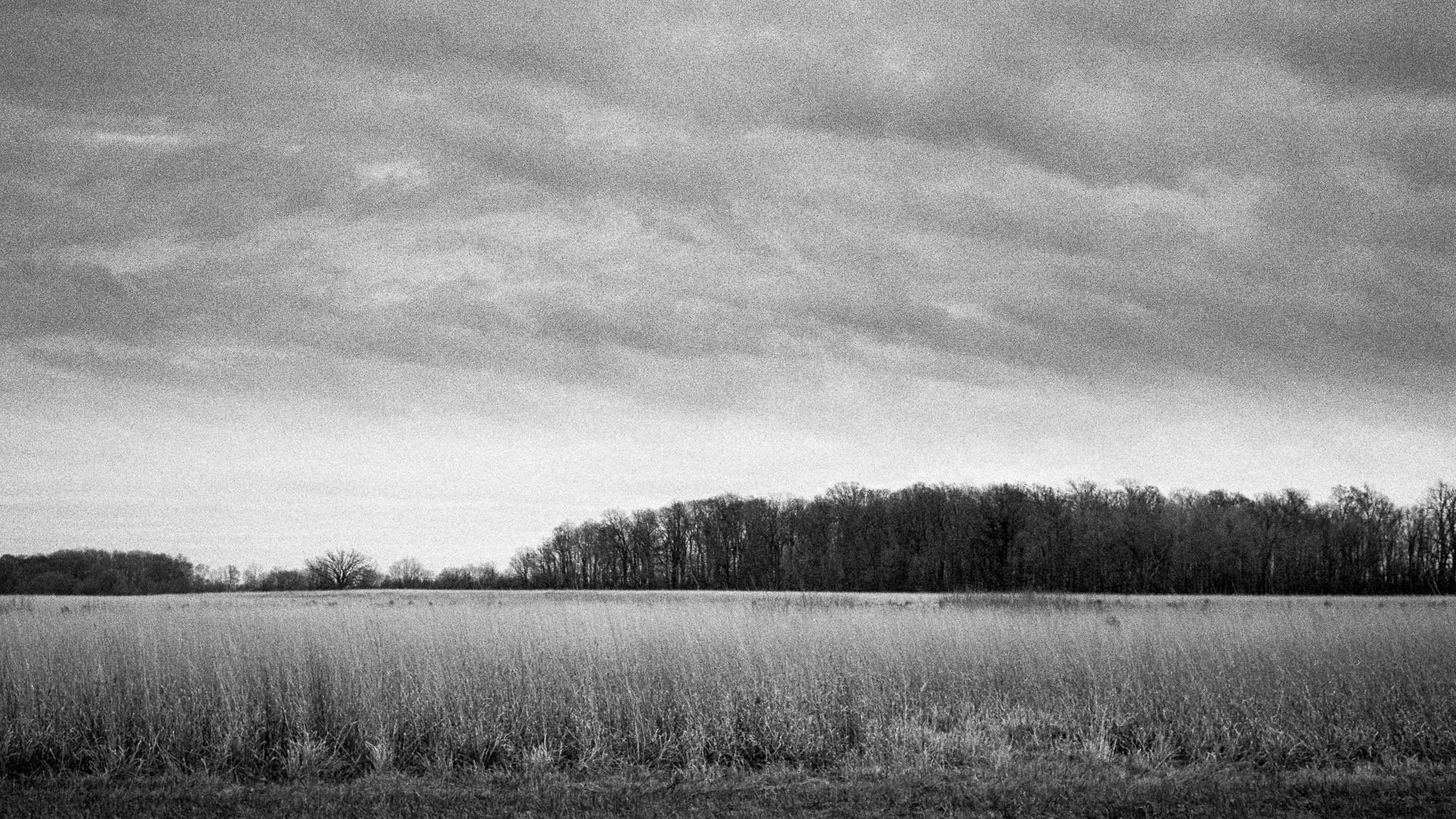 scan-20151130-leica_m2-zeiss_50mm-hp5-0004.jpg