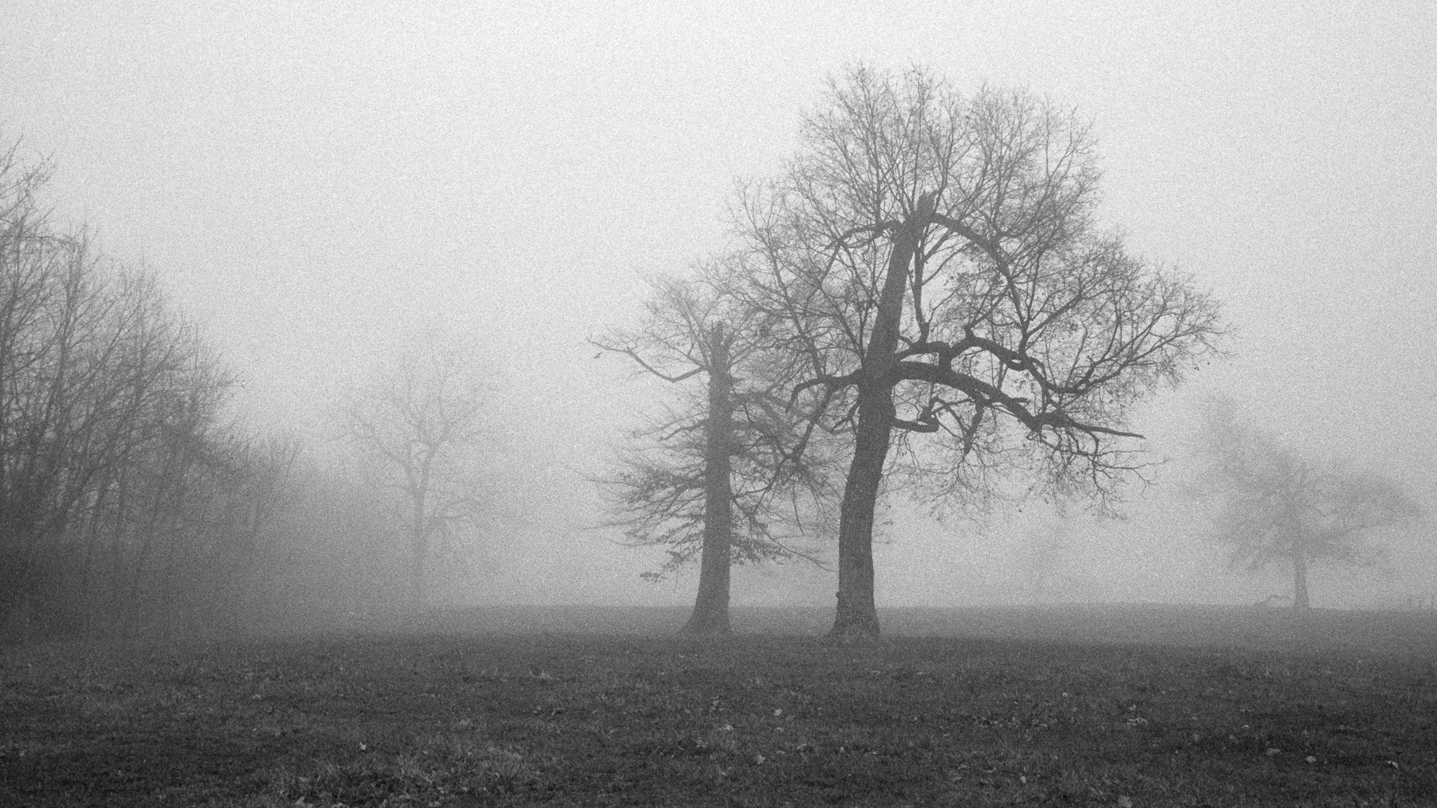 Waterman Farm, The Ohio State University