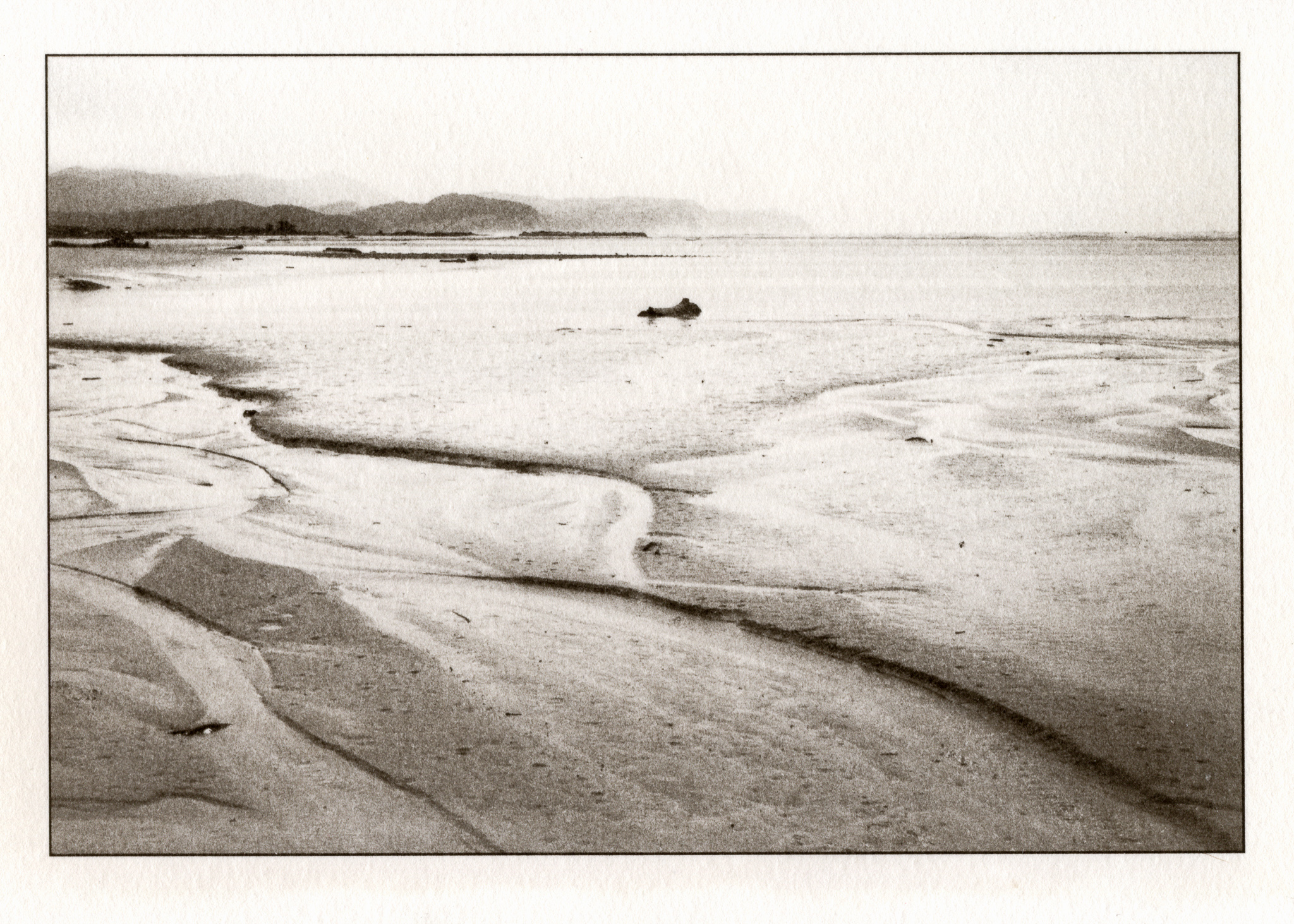 kallitype-0112.jpg