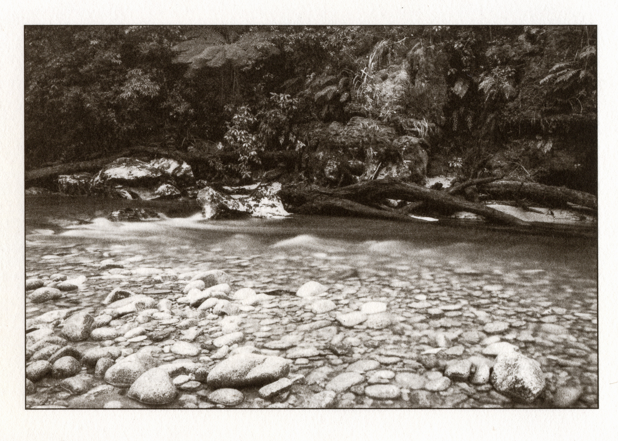 kallitype-0115.jpg