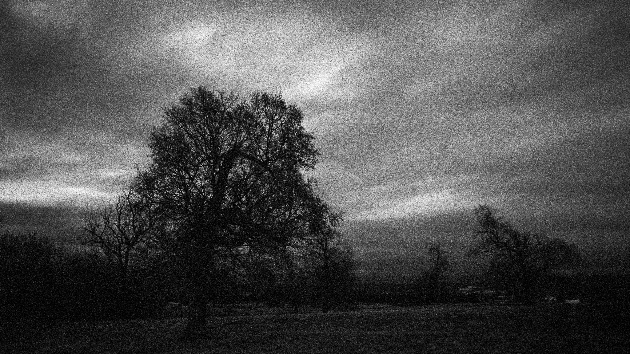 scan-20180113-nikon_fm3a-arista400-roll_118-14.jpg