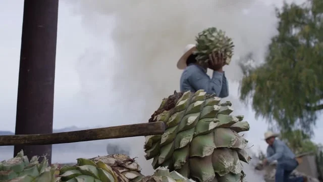 CASAMIGOS MEZCAL RELEASE