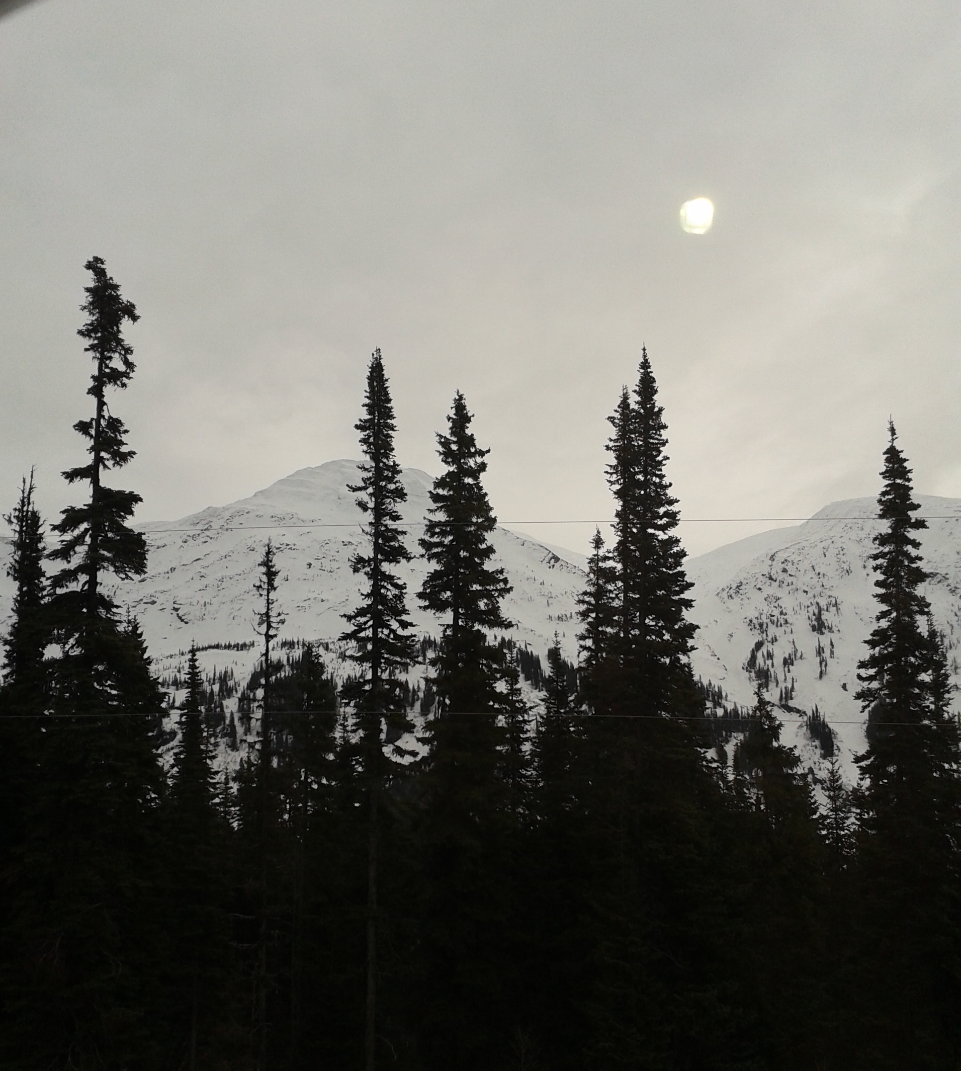 DAY 22 – NATURE BEAUTIFUL Travelling up the northern highway in the early morning – Highway 97 Way Up North, North to Alaska (but not Alaska LOL - BC)
