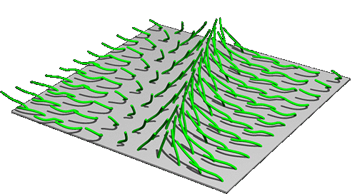 Cilia are used effectively in a wide variety of biological systems from fluid transport to thrust generation.