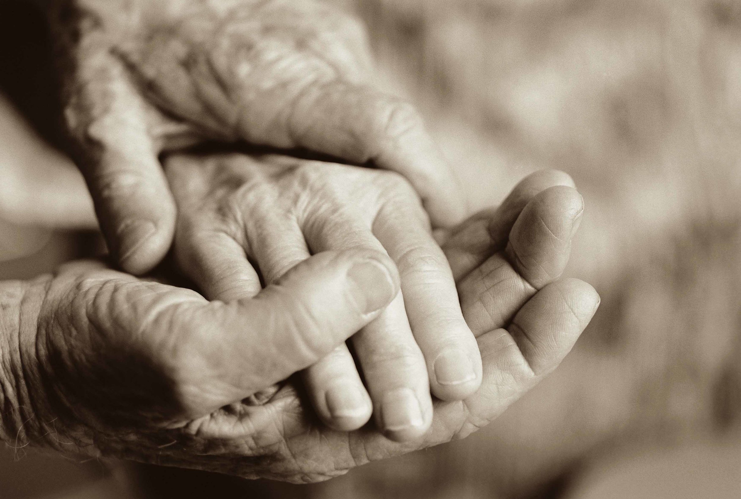 old_hands.jpg