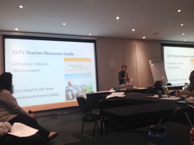 Stephanie presenting on new Resource Guide at EEASA Conference - Johannesburg, South Africa
