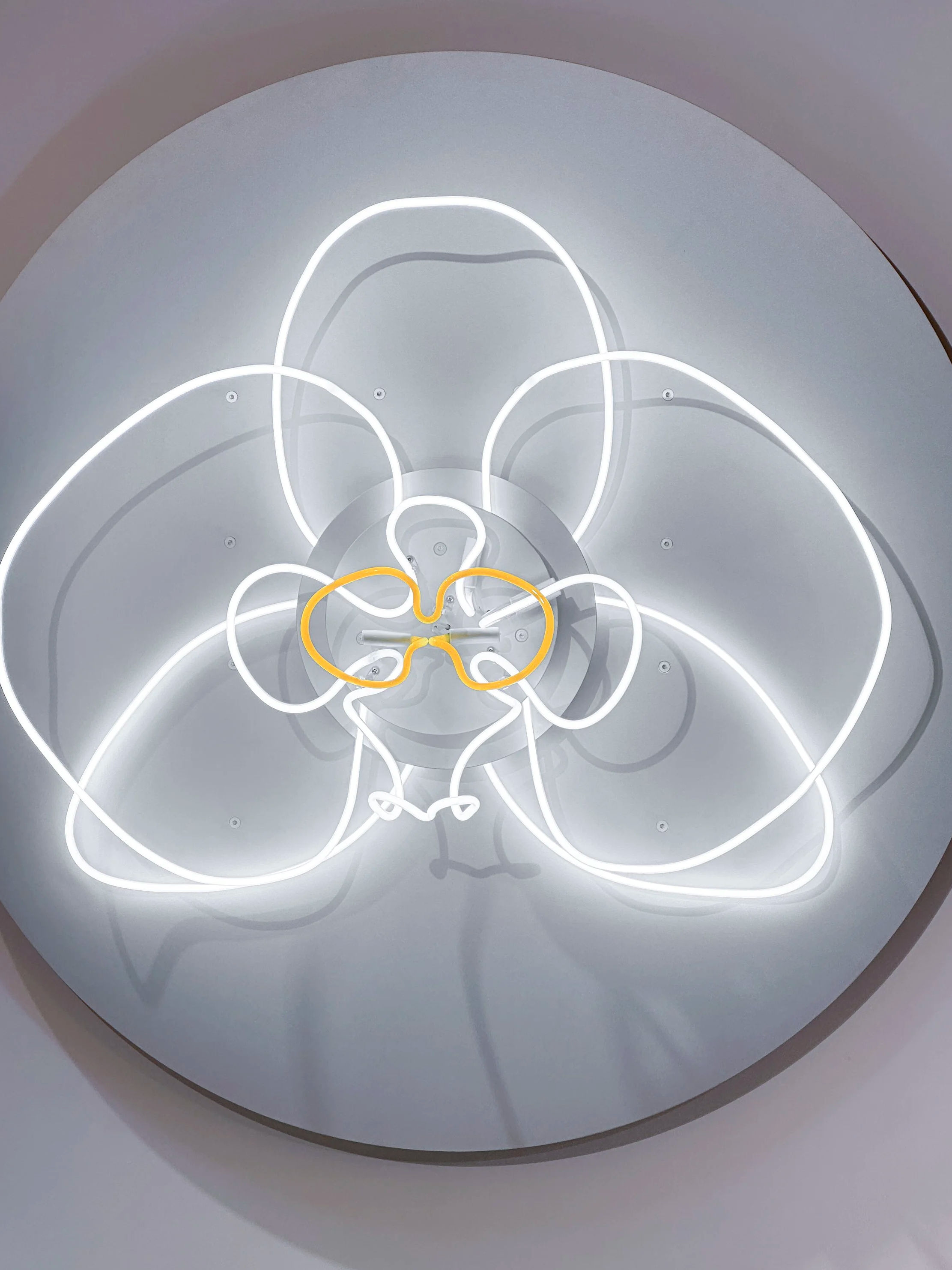 orchid+01+-+03.png