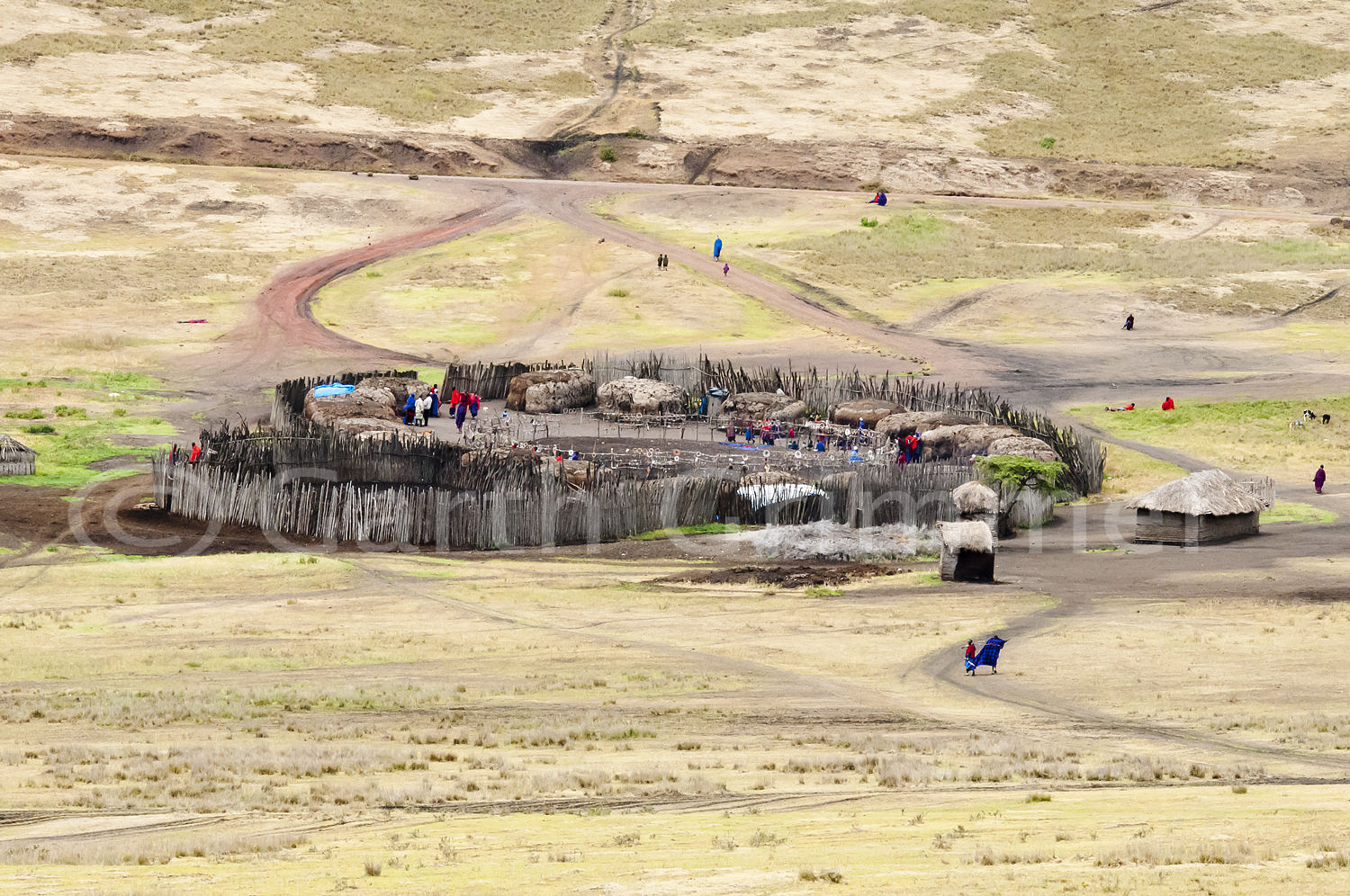 Maasai village