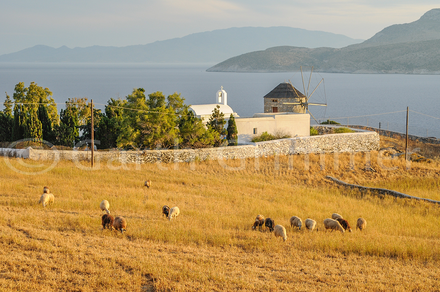 Schinoussa - Greece