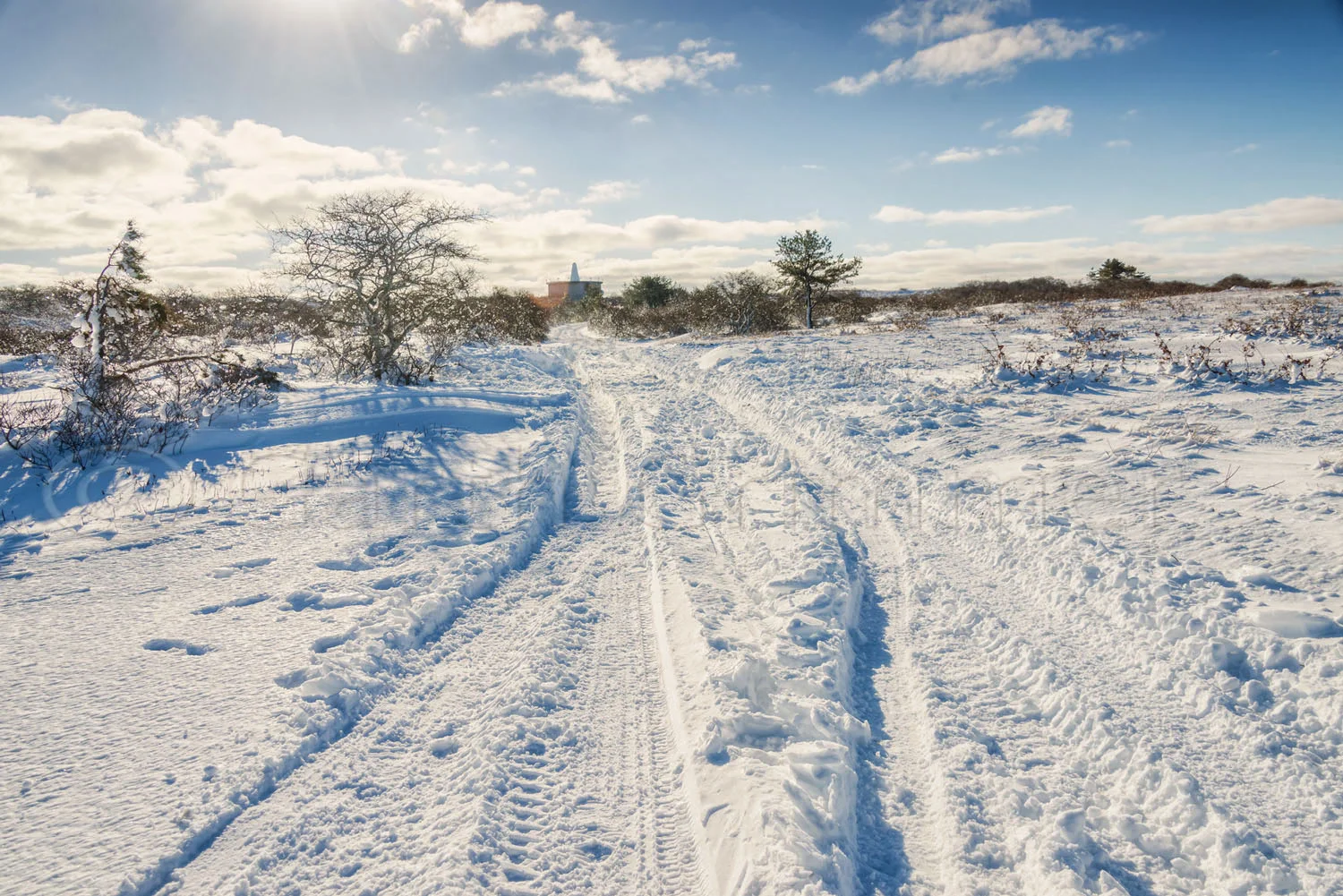 Snow Ruts on the Moors