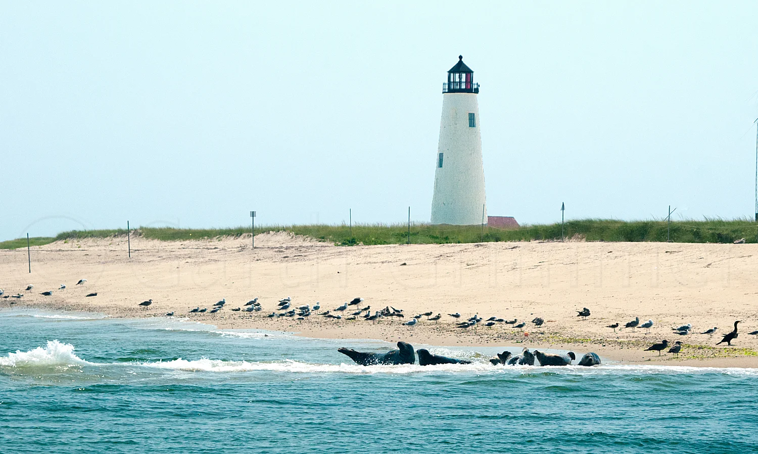 Great Point Lighthouse