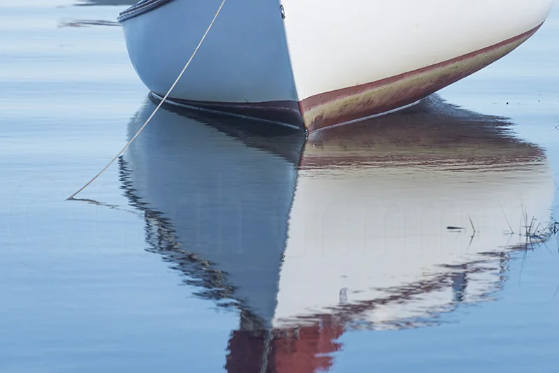 Only just in water.jpg