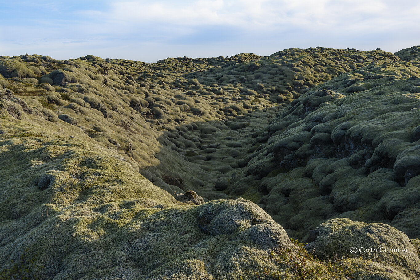 Moss covered Eldhraun lava field