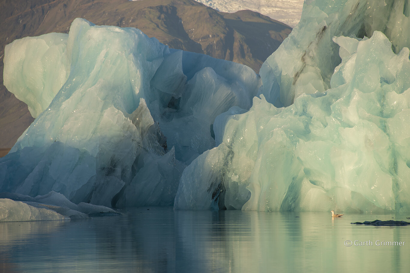 Berg and bird