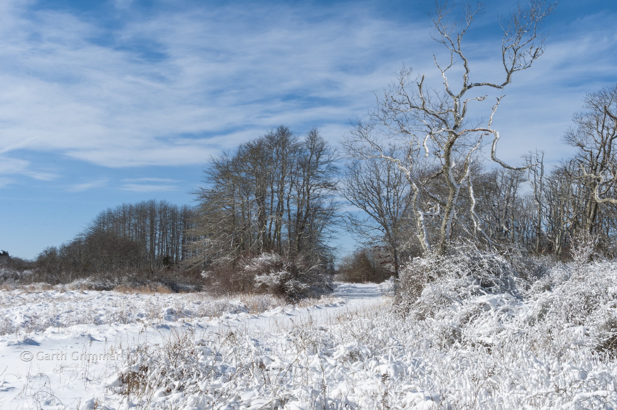 Day after the storm