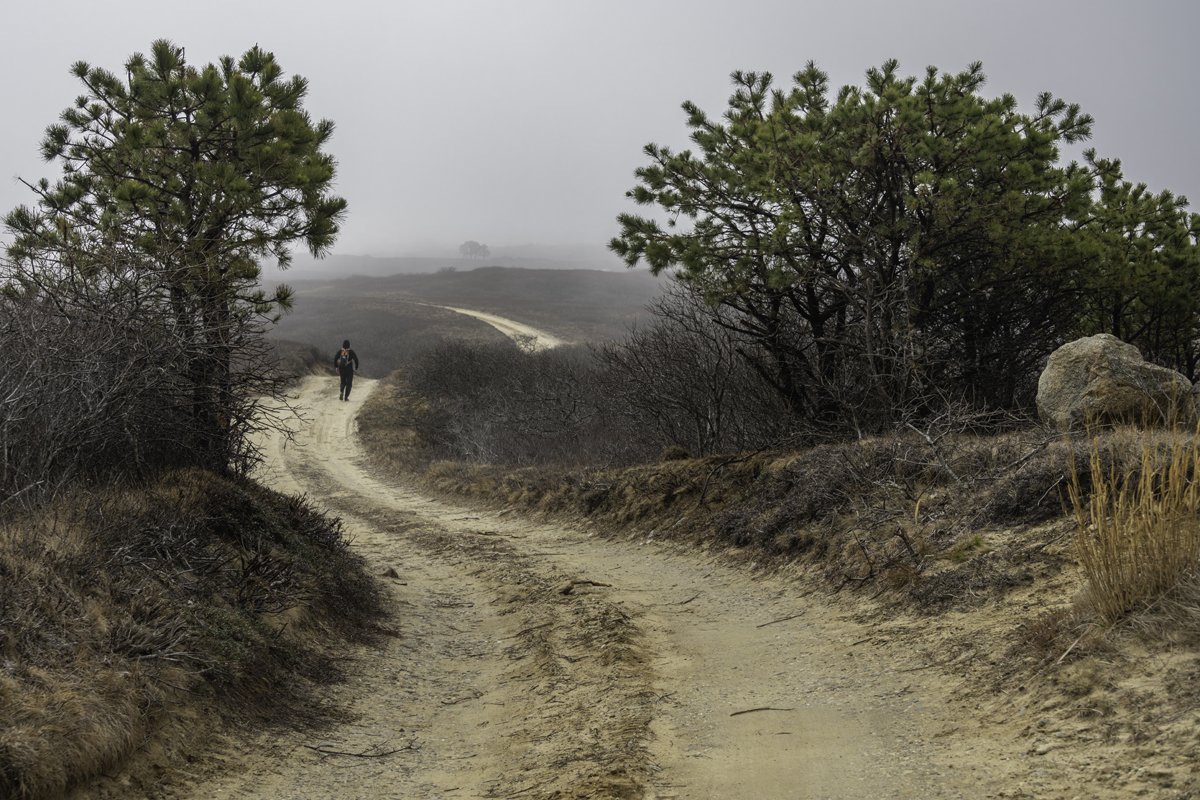 Mist on the moors