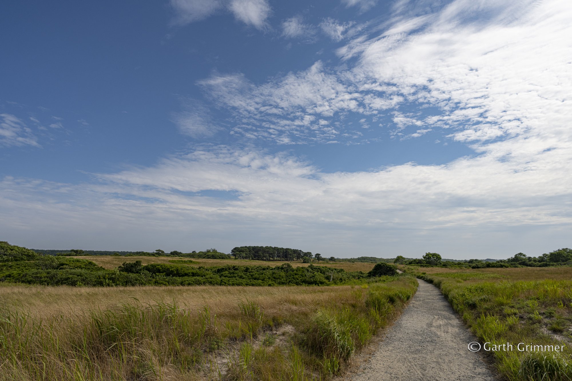 Sanford farms