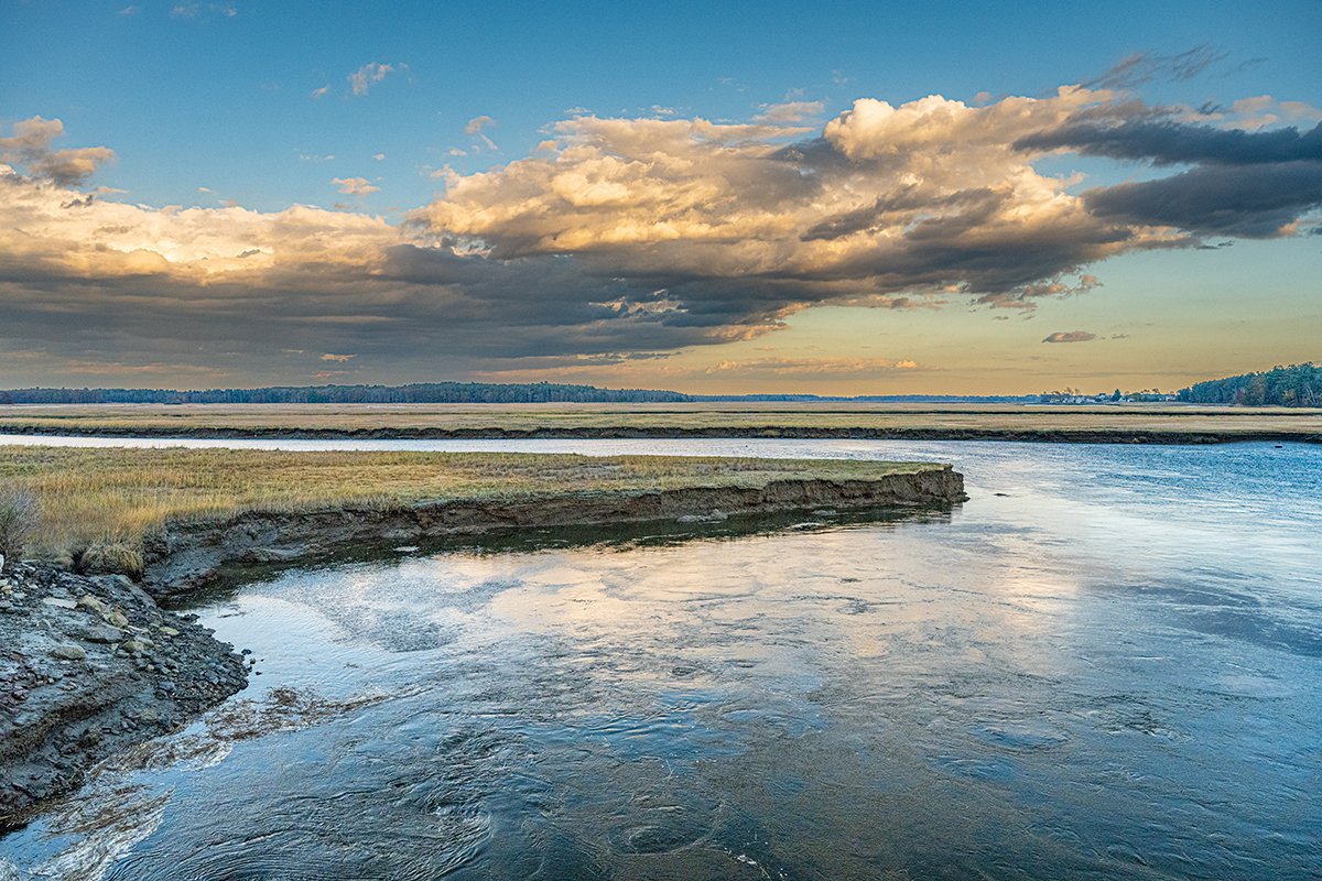 Evening at Scarborough tidal marsh