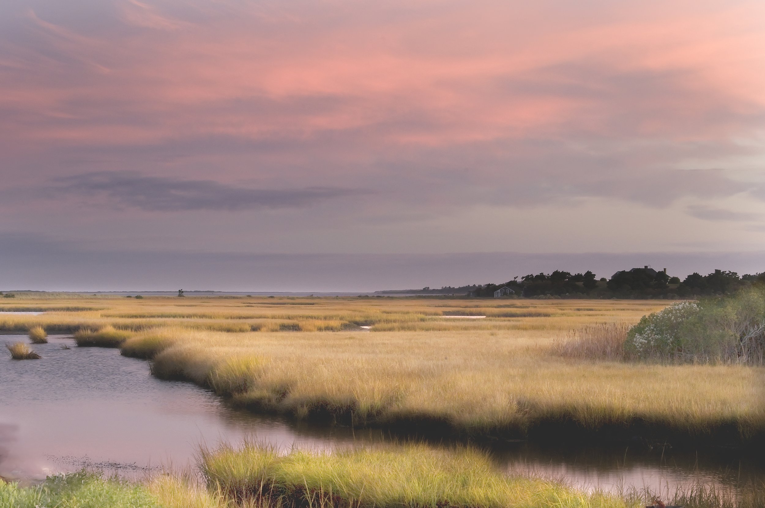 Foulger's marsh