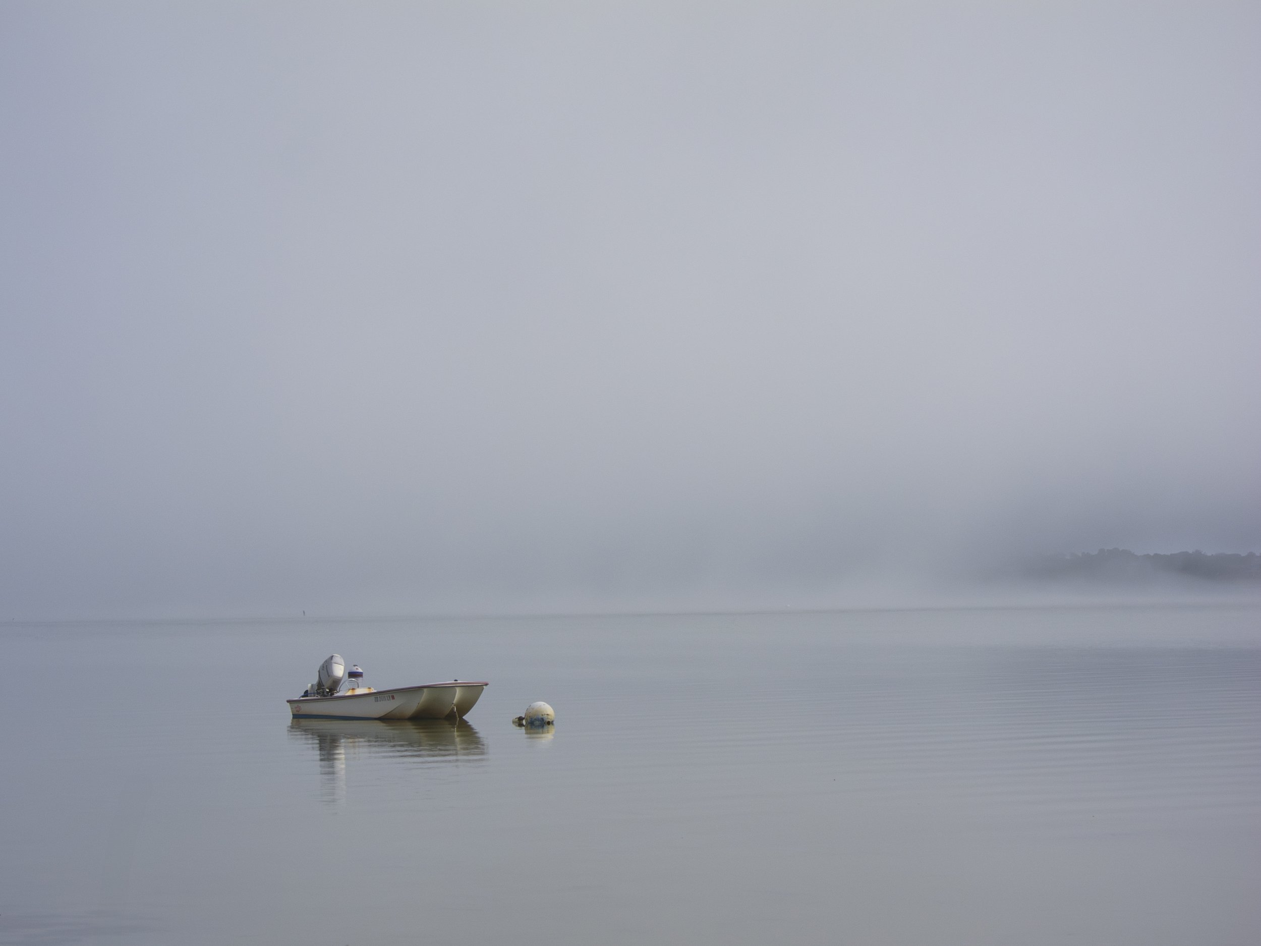 Alone in the fog